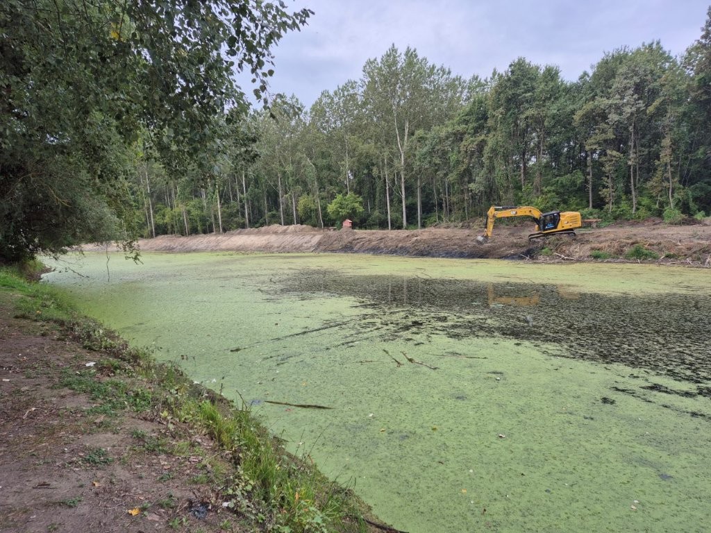 revitalizacija stare drave 02