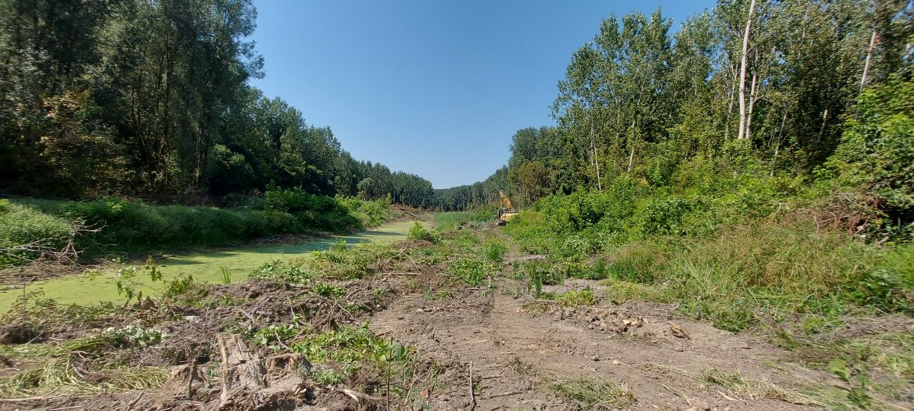 revitalizacija stare drave 04