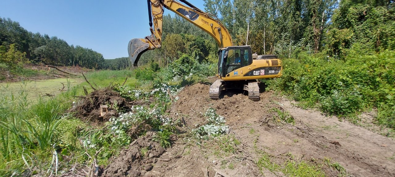 revitalizacija stare drave 05