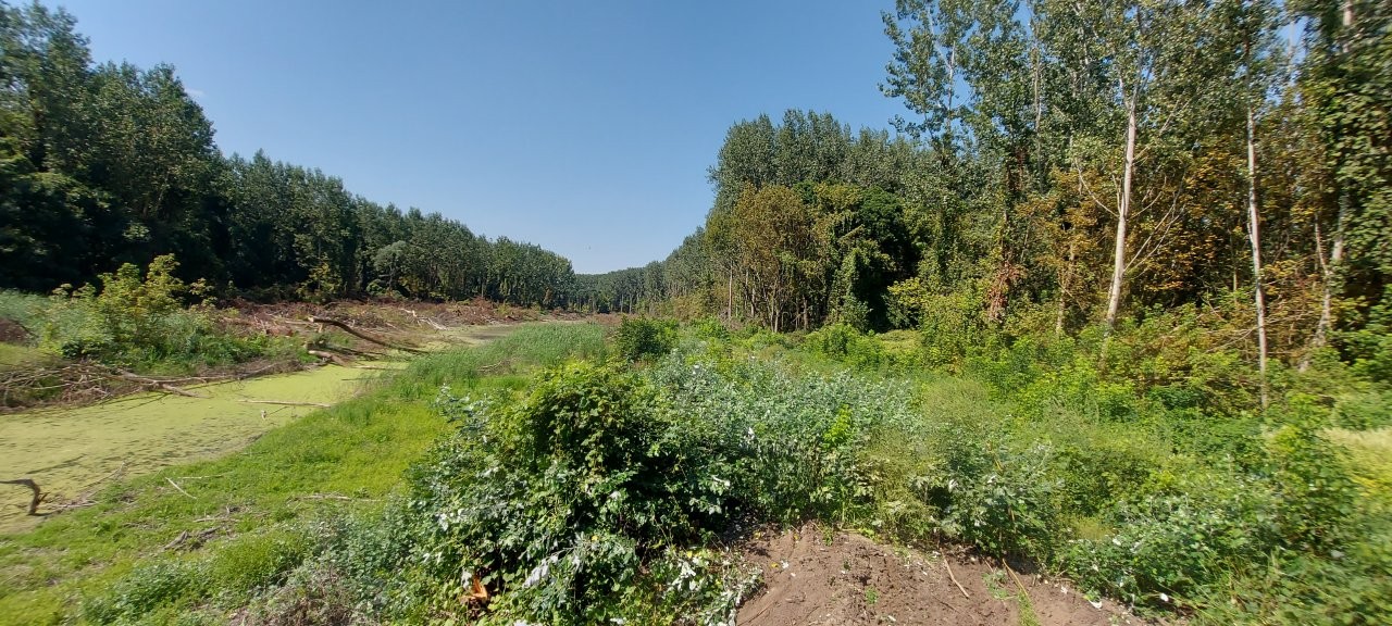 revitalizacija stare drave 06