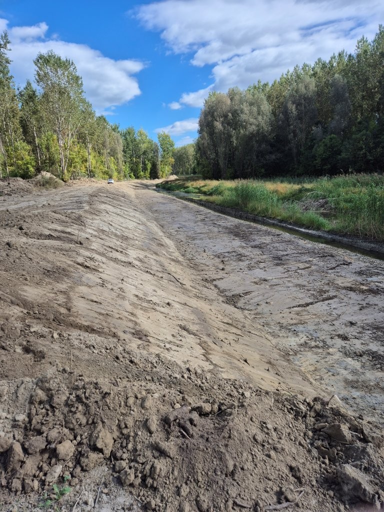 revitalizacija stare drave 07