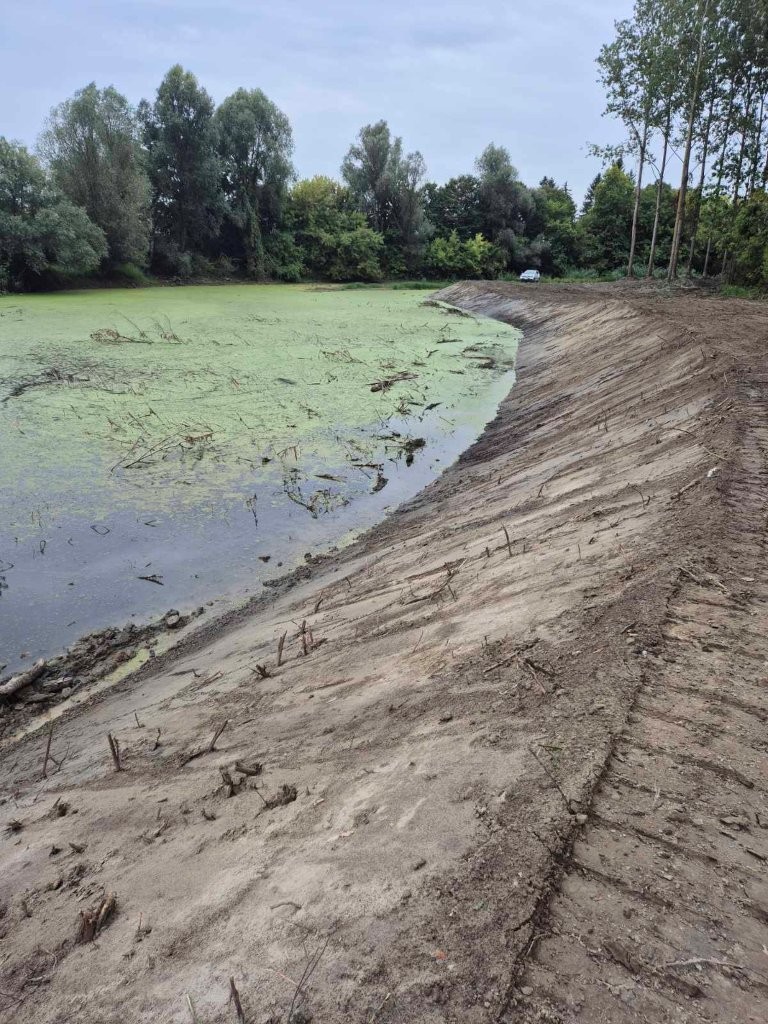 revitalizacija stare drave 10